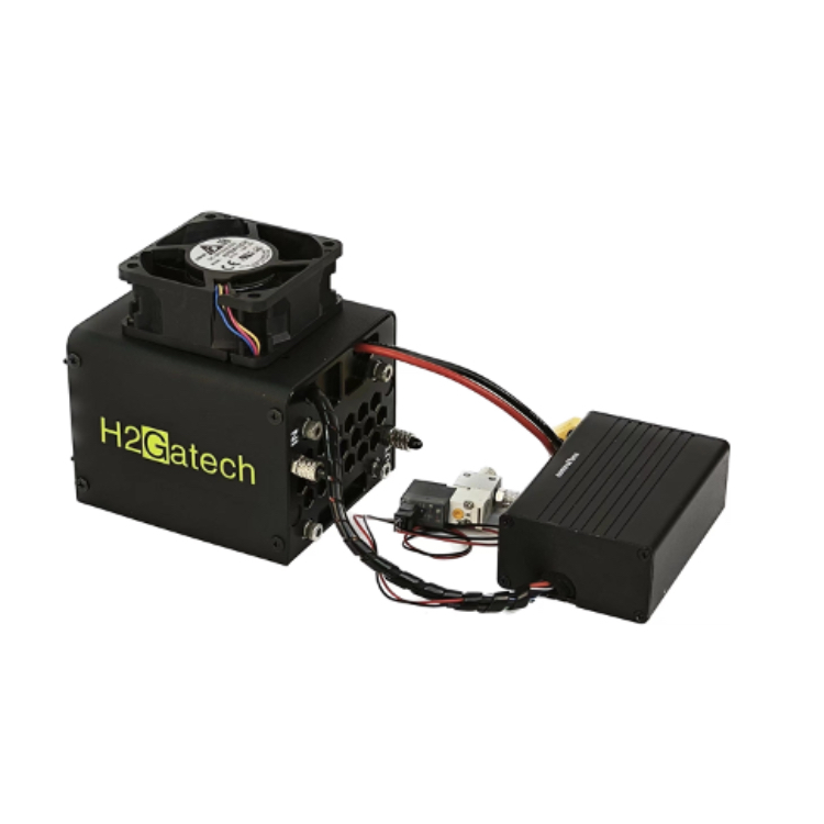 H2Gatech 100W Fuel Stack